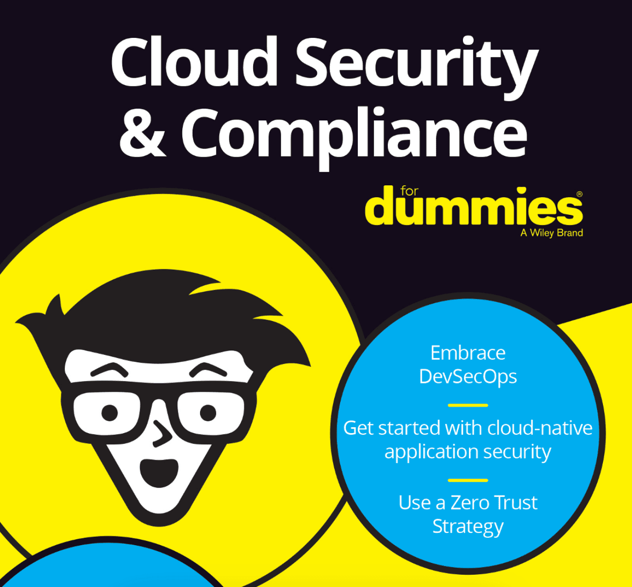 Cloud security and compliance for dummies